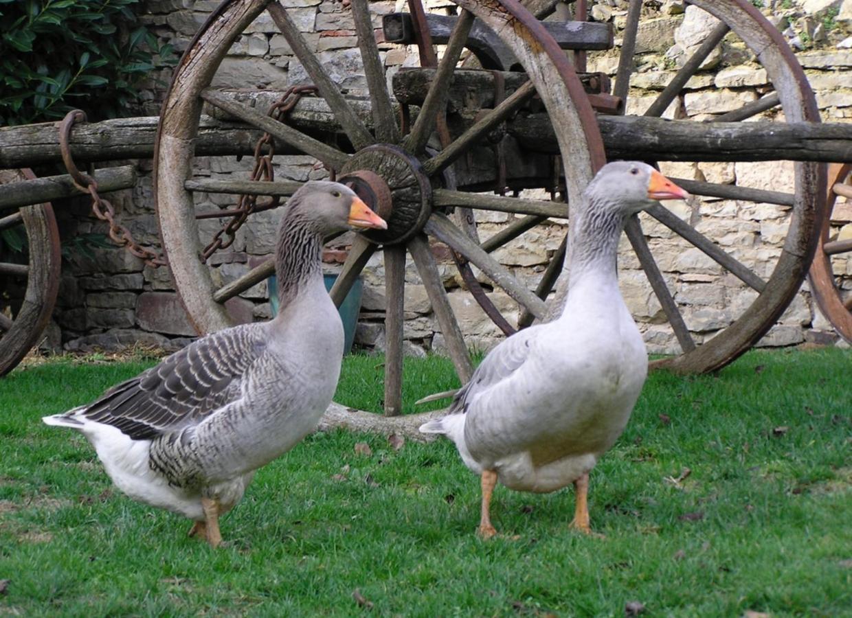 La Ferme De Marie Lägenhet Rangen Exteriör bild