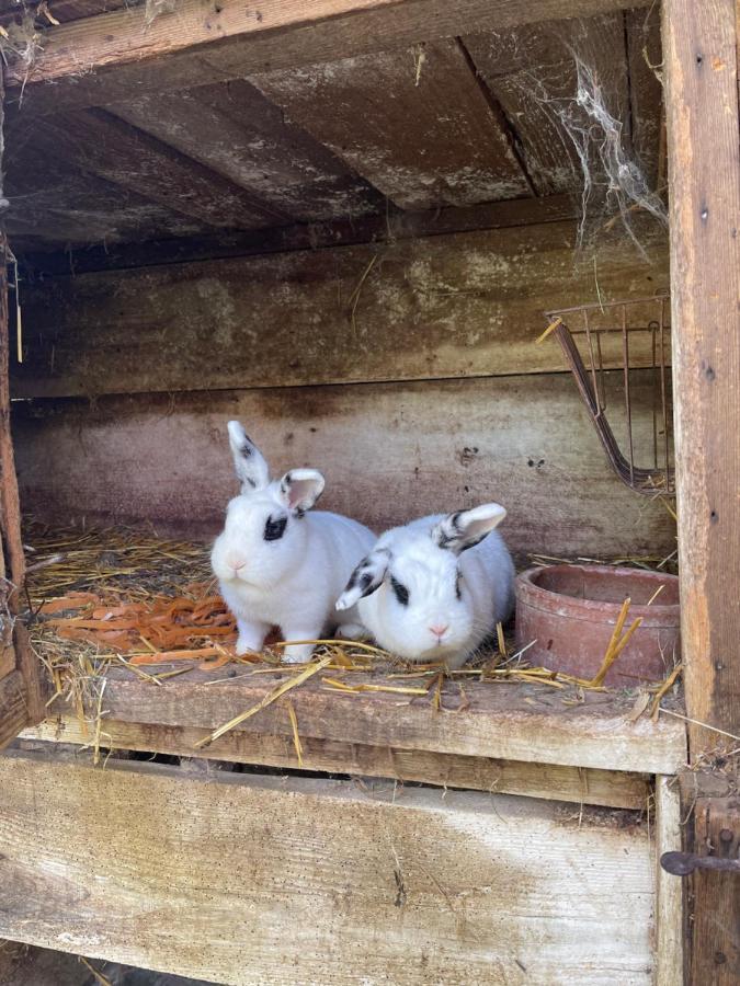 La Ferme De Marie Lägenhet Rangen Exteriör bild