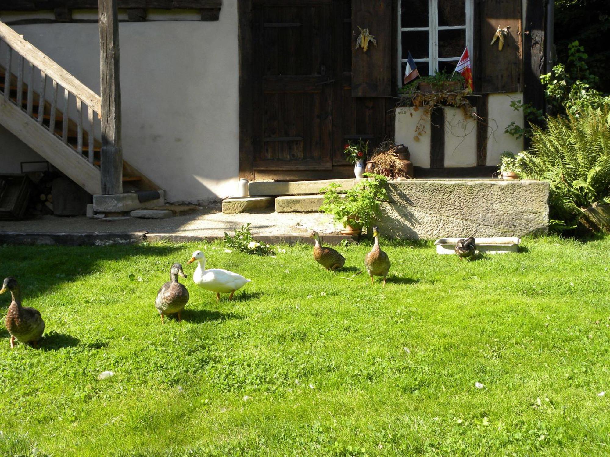 La Ferme De Marie Lägenhet Rangen Exteriör bild
