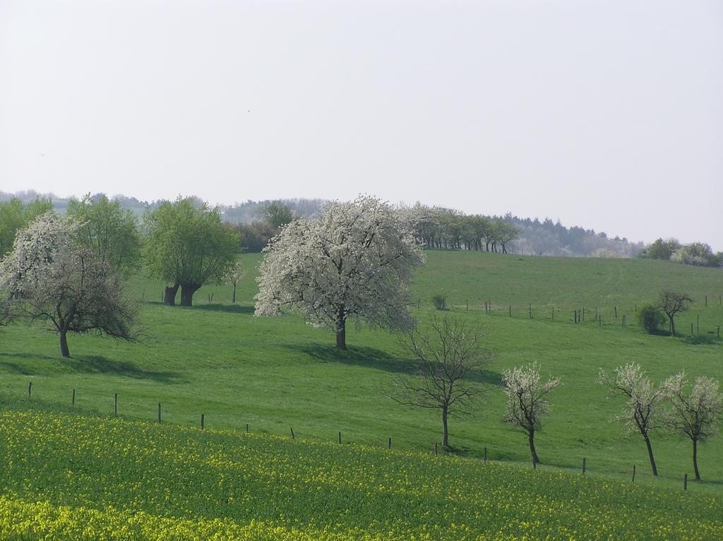 La Ferme De Marie Lägenhet Rangen Exteriör bild